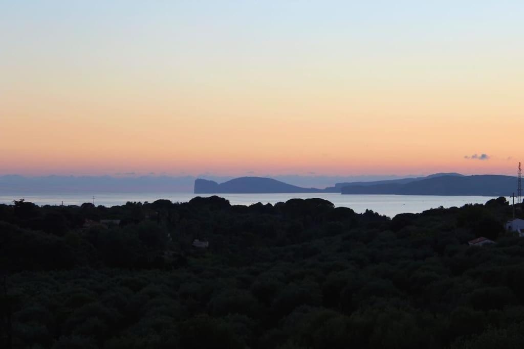 Villa Boeddu, Relax Tra Mare E Campagna Alghero Eksteriør billede